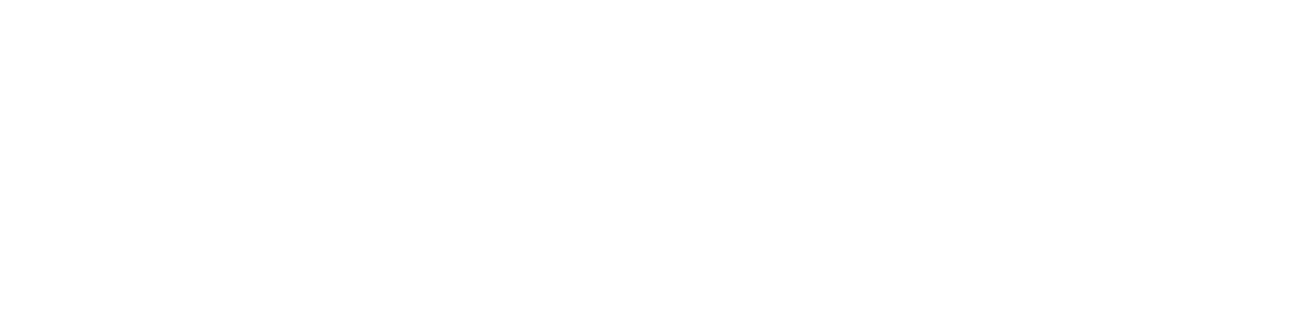 Voxer Logo